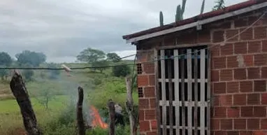 Homem que espancou cachorro e jogou animal vivo em fogueira é indiciado