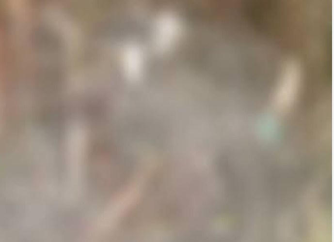 Cadáver é encontrado enterrado em cova rasa no município de Goiana