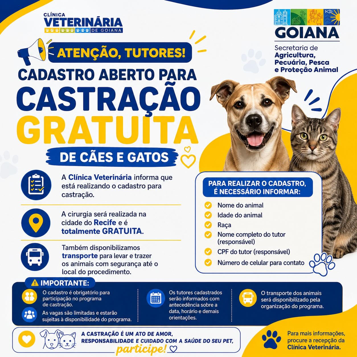 Clínica Veterinária de Goiana abre cadastro para programa de castração gratuita de cães e gatos